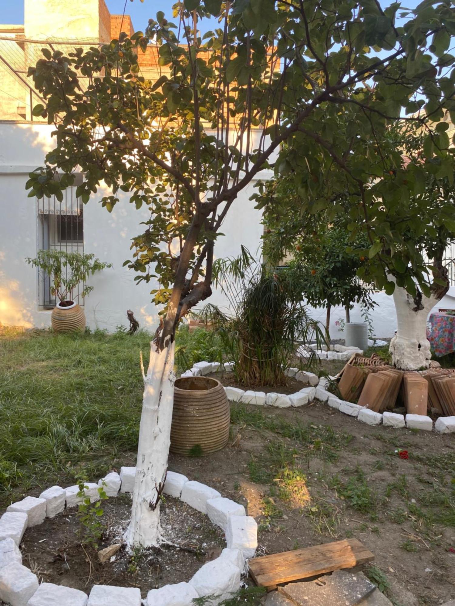 Best Located Ruby Luxury Escape Kalamata Exterior foto